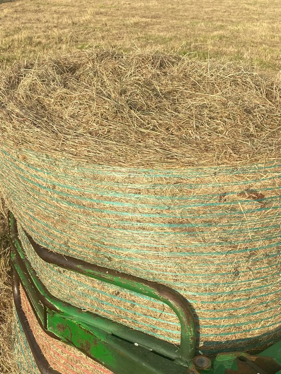 Bales of Hay - Image 2