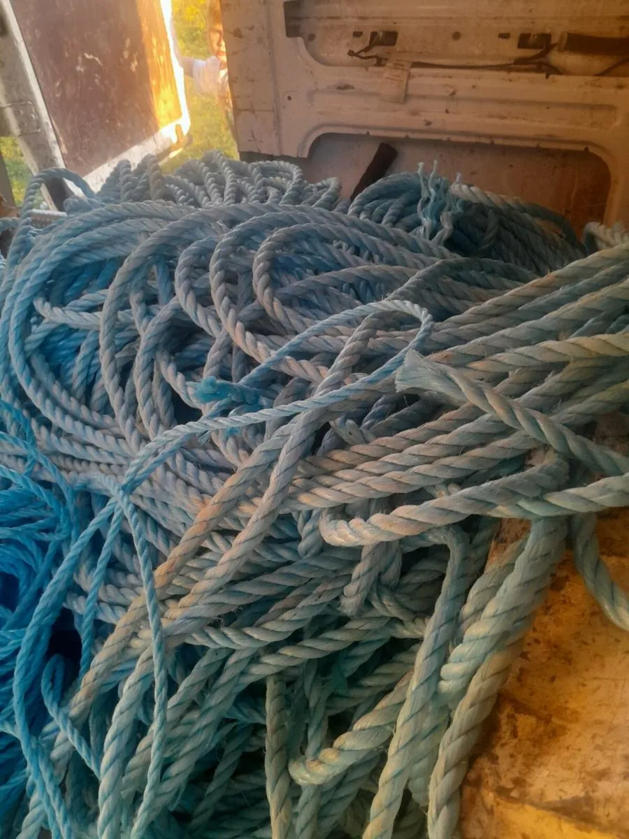 Roles of rope - Image 1