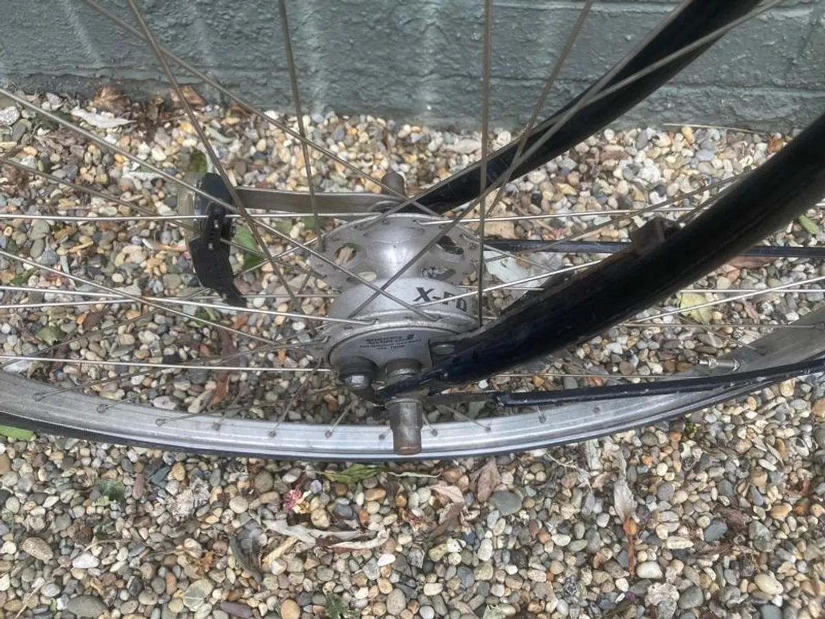 Pashley Princess - Image 4
