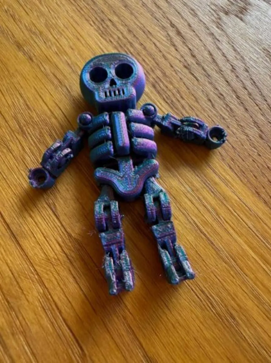 3D Printed Skeleton