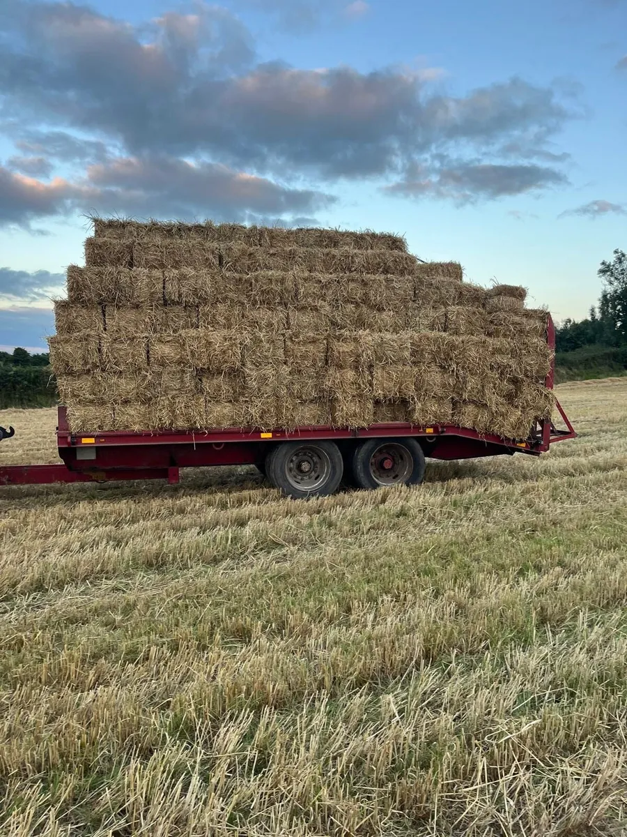 Small Square bales of Straw - Image 2