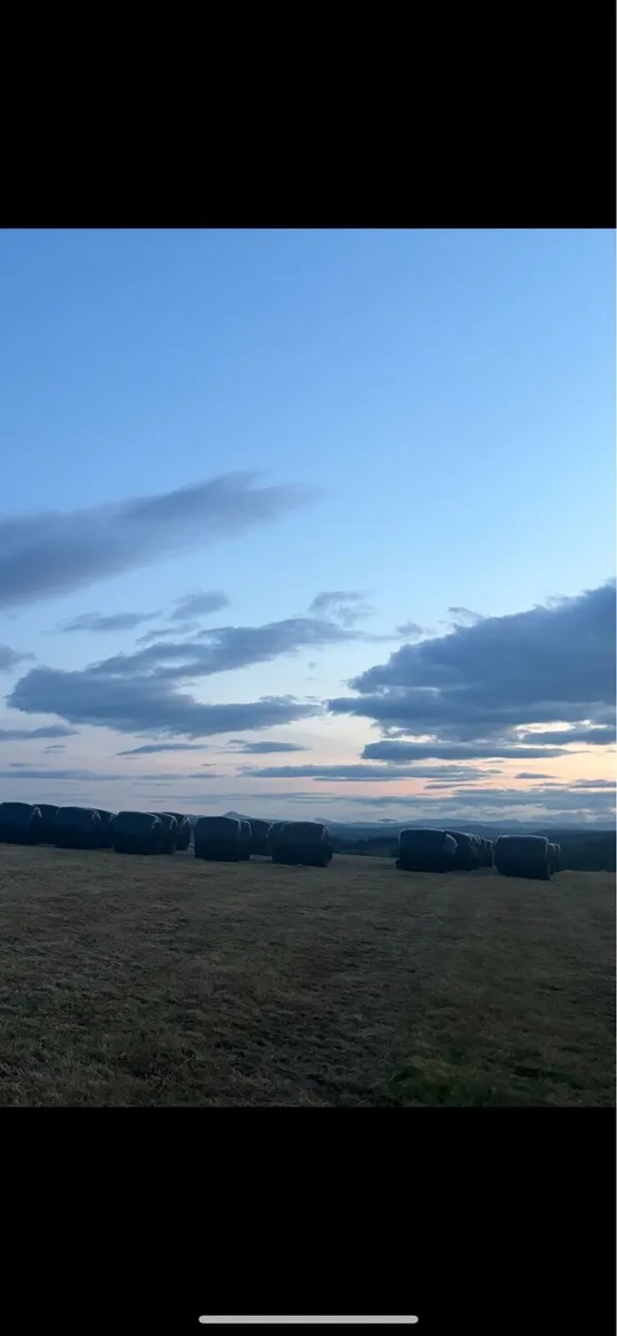 Silage bales for sale