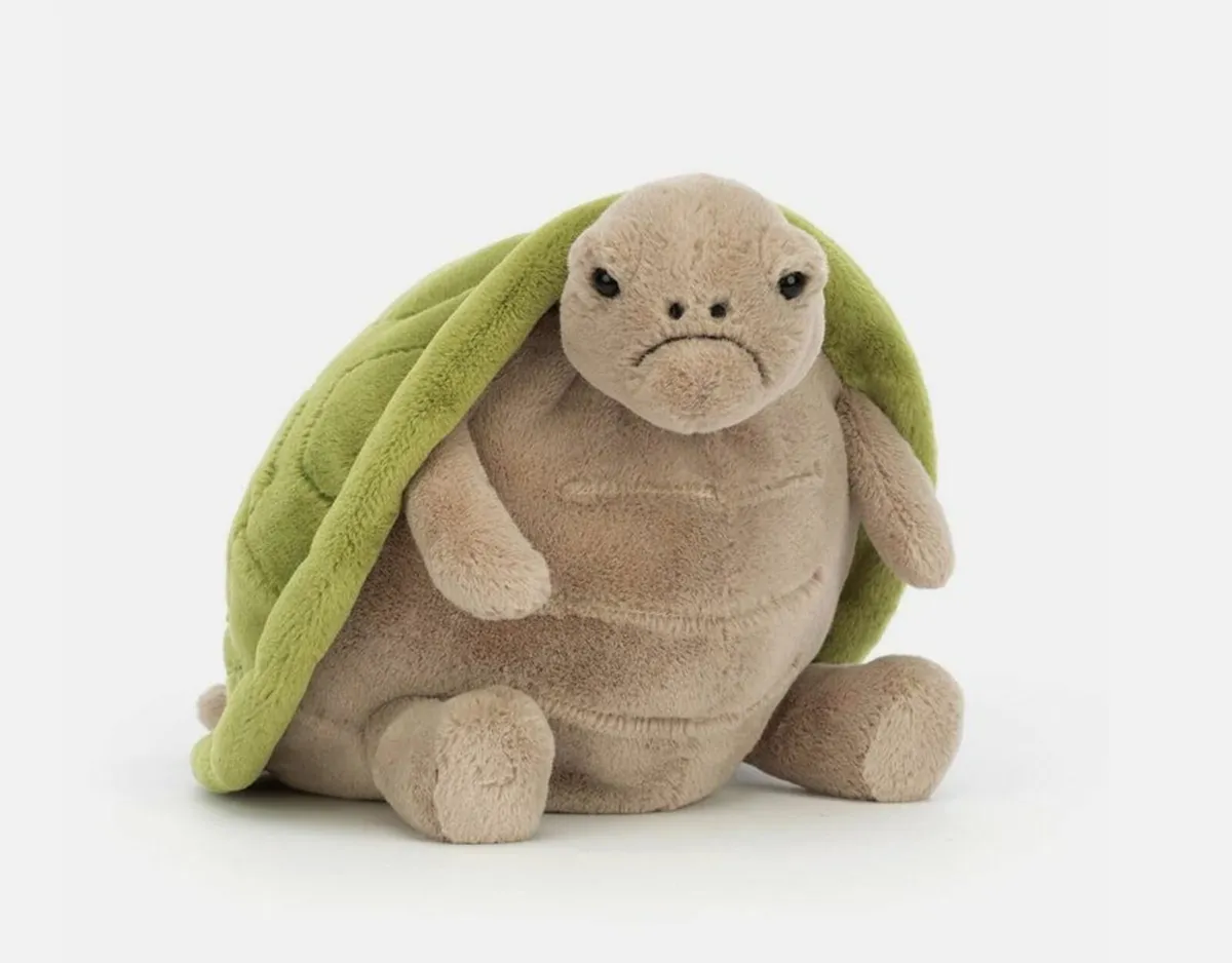 Turtle Stuffed Toy