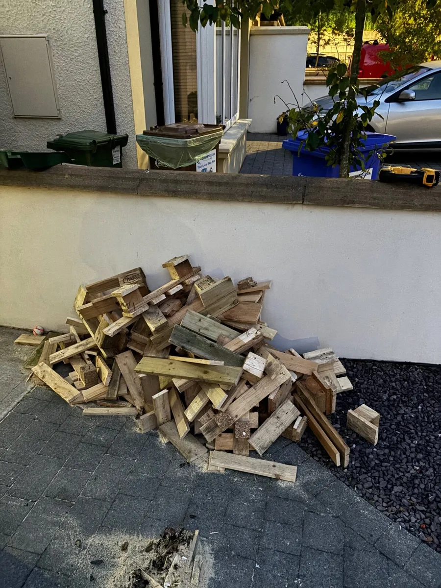 Free to take  Fire wood - Image 2