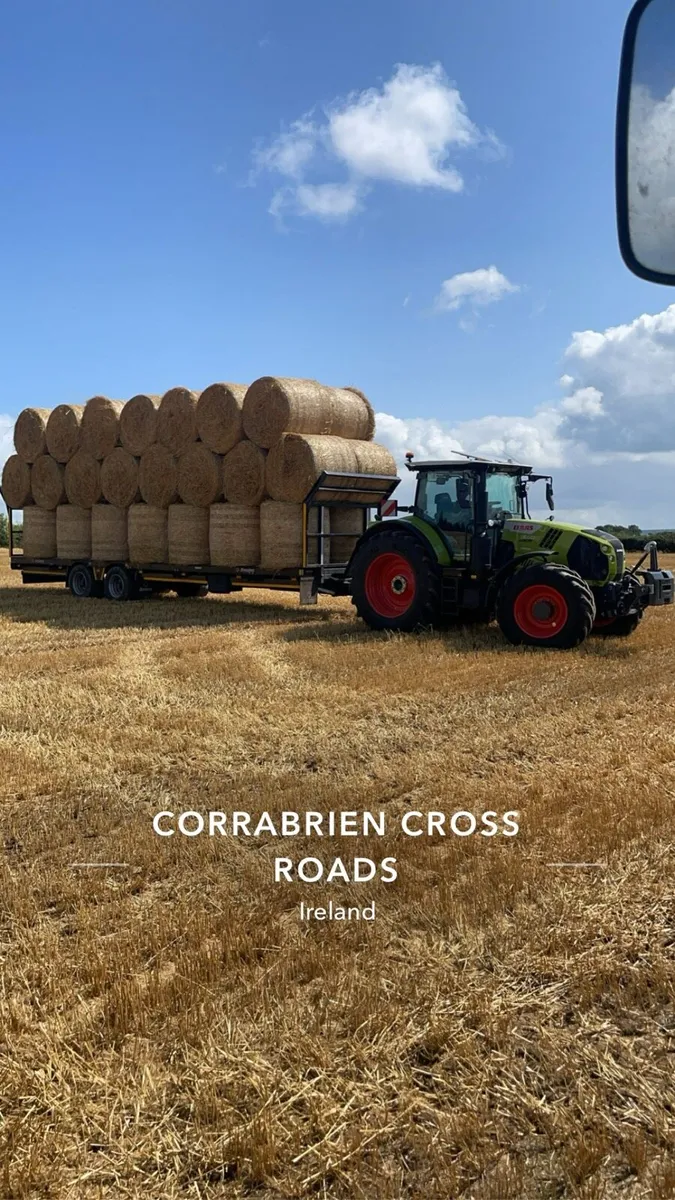 Round and square bales - Image 1