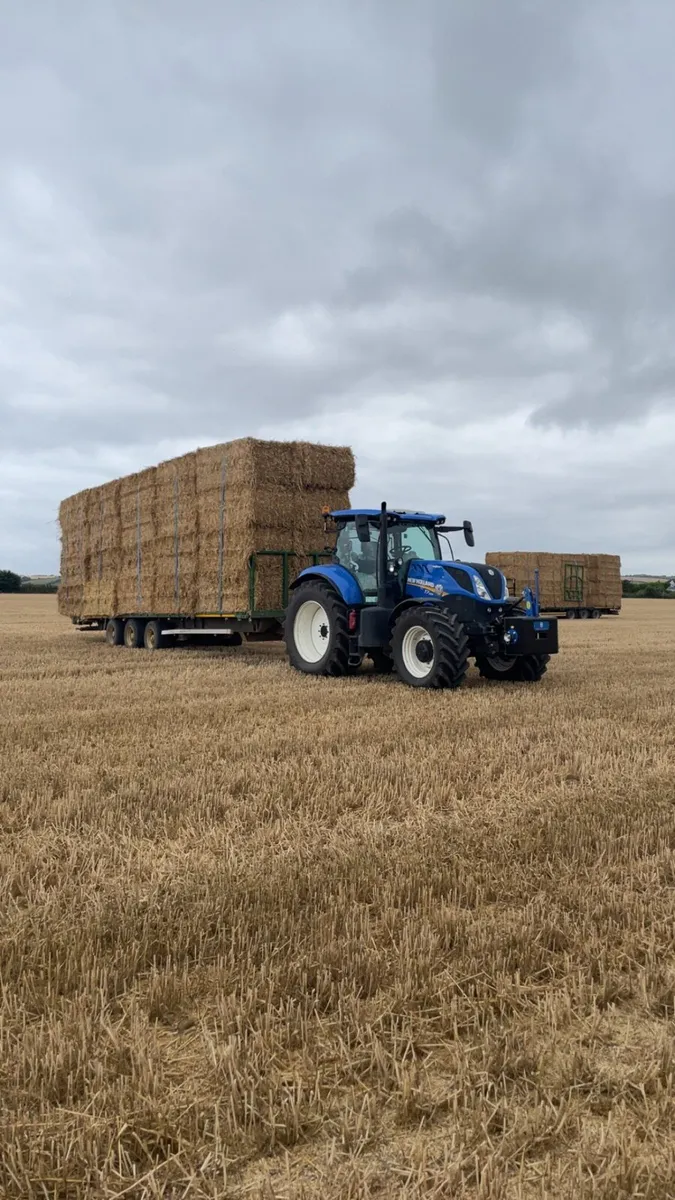 Round and square bales - Image 2