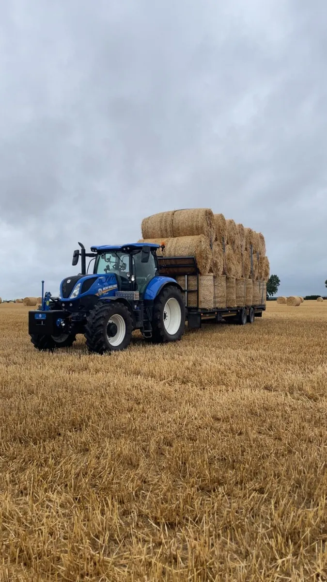 Round and square bales - Image 3