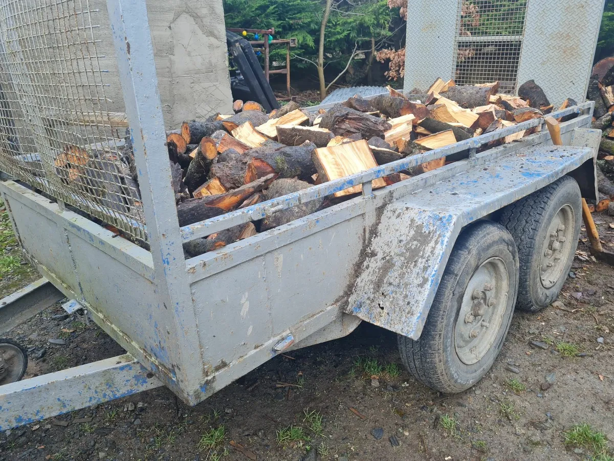 Beech firewood - Image 1