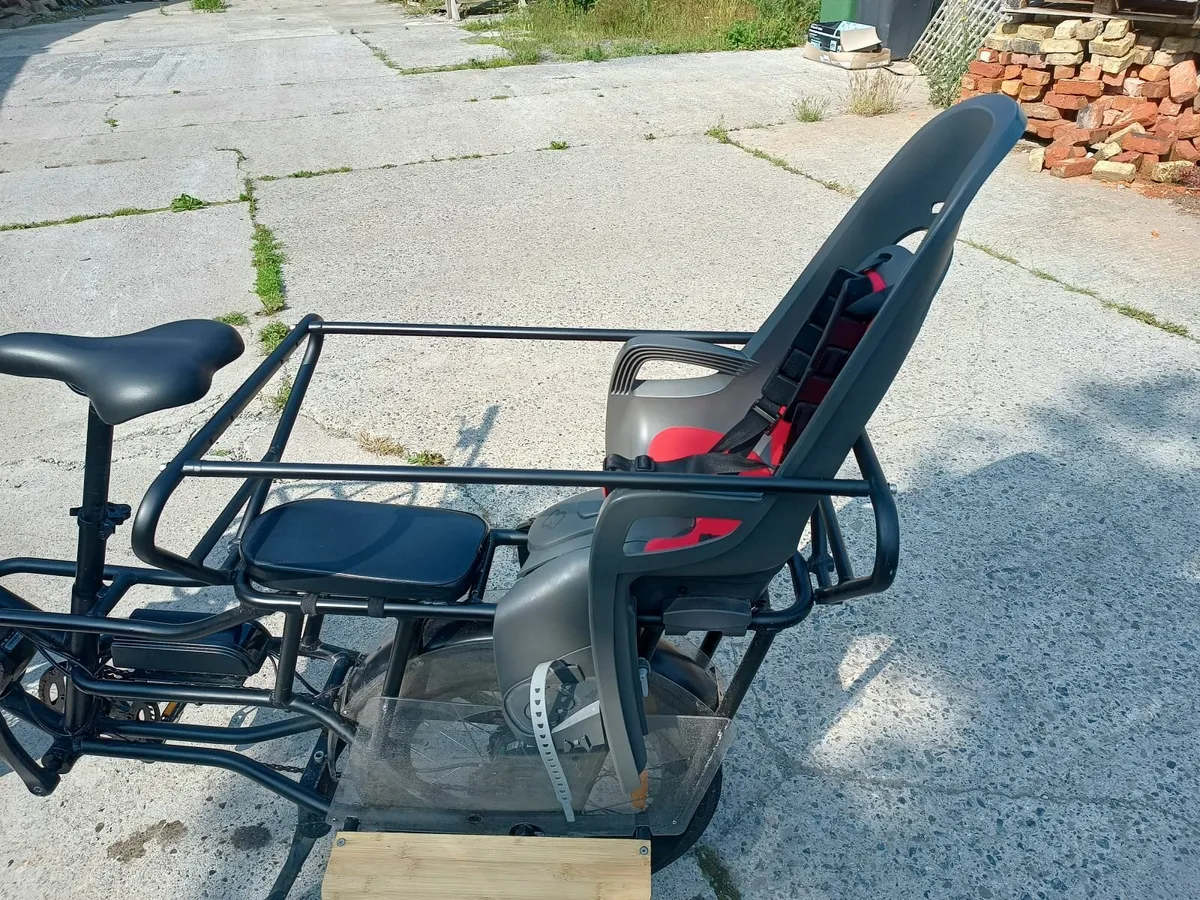 Electric Cargo Bike - Image 3