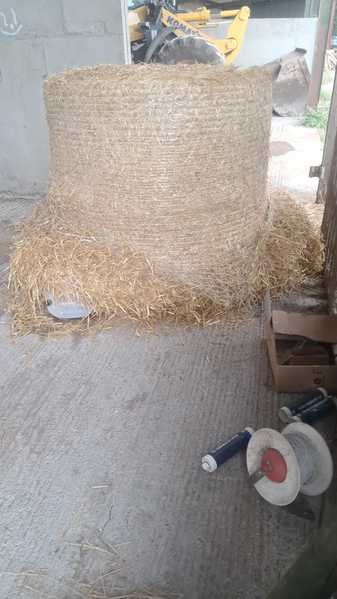 Straw for sale