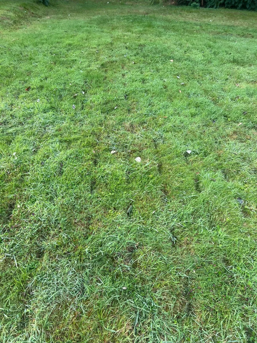 Alstrong Aerator - Image 4