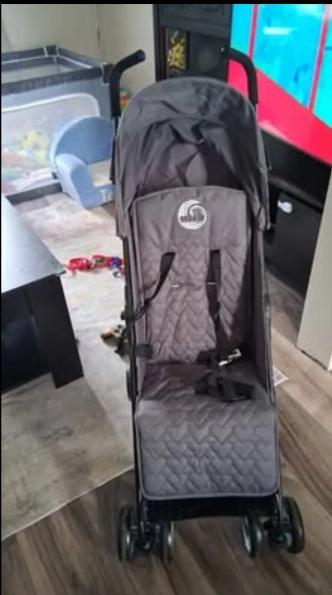 Buggy - Image 1