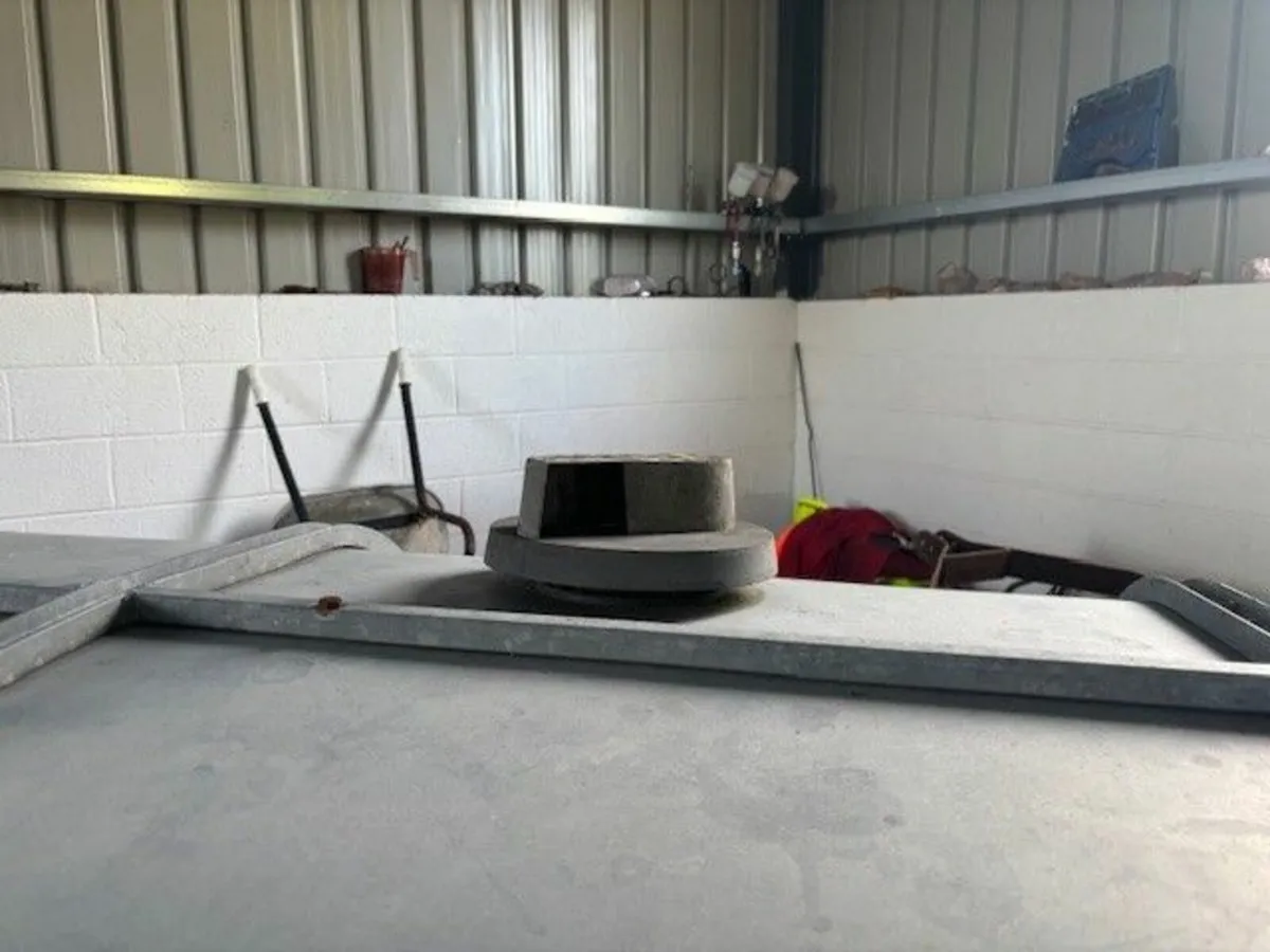 Dog Trailer - Image 4