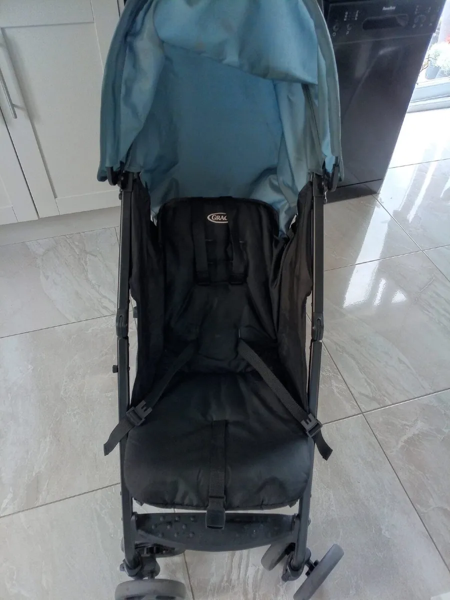 Buggy - Image 1