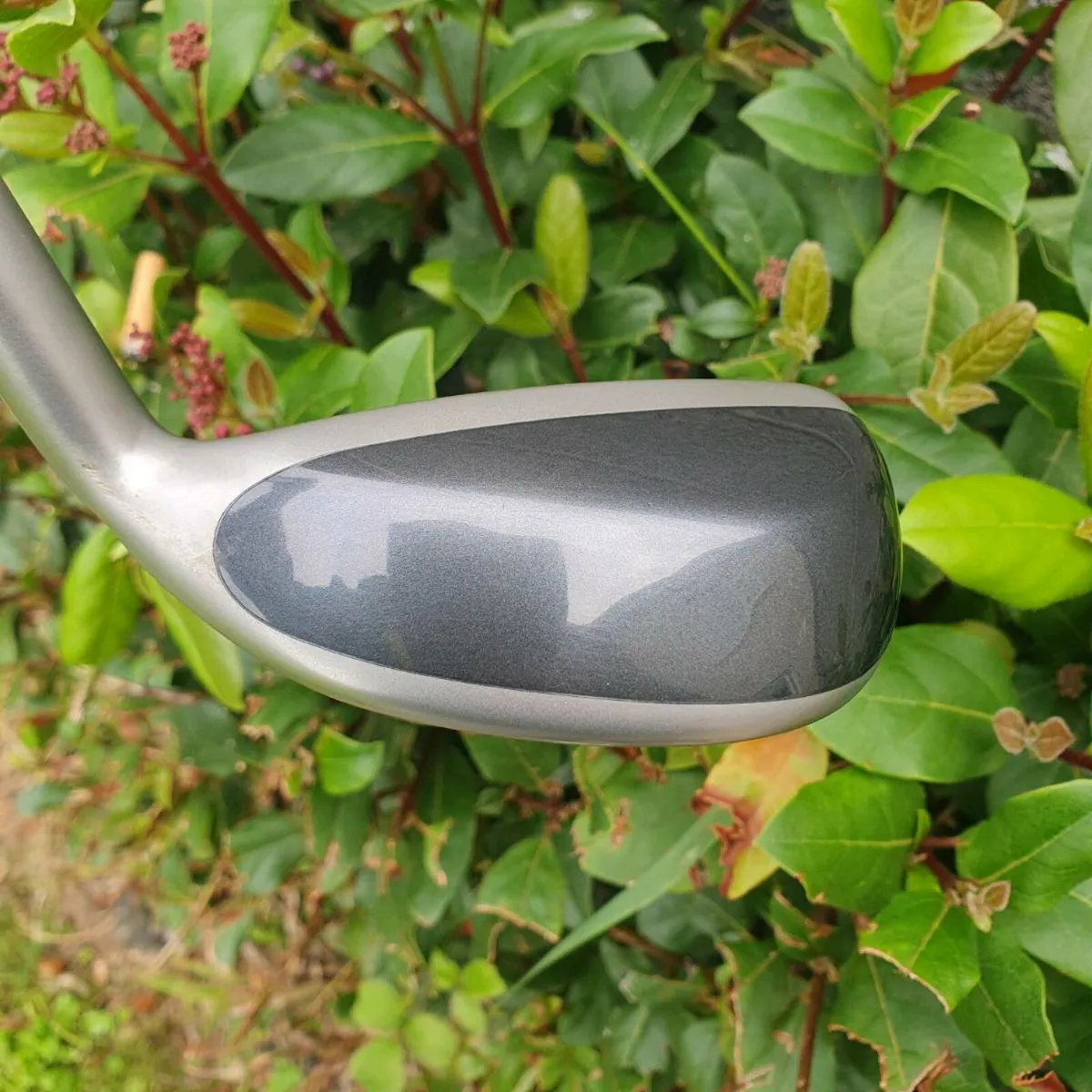 Spotless ping g 20 rescue - Image 3