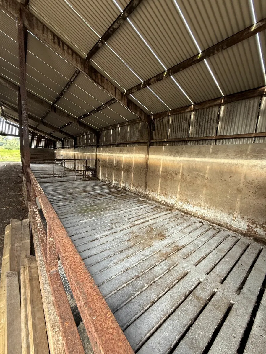 Cattle Sheds to Rent - Image 2