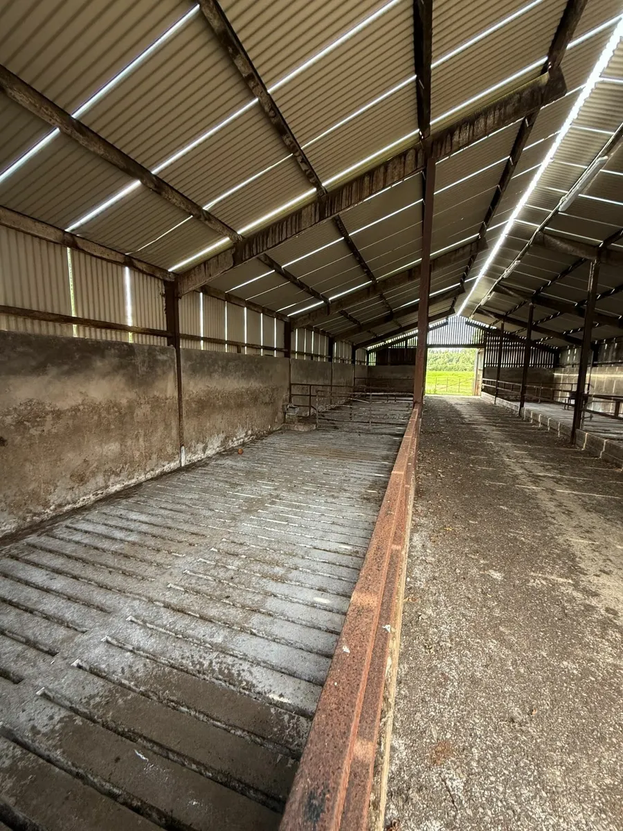 Cattle Sheds to Rent - Image 3