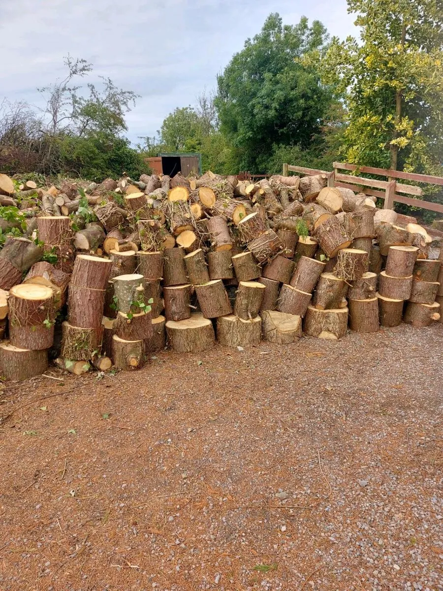 Timber for sale - Image 2