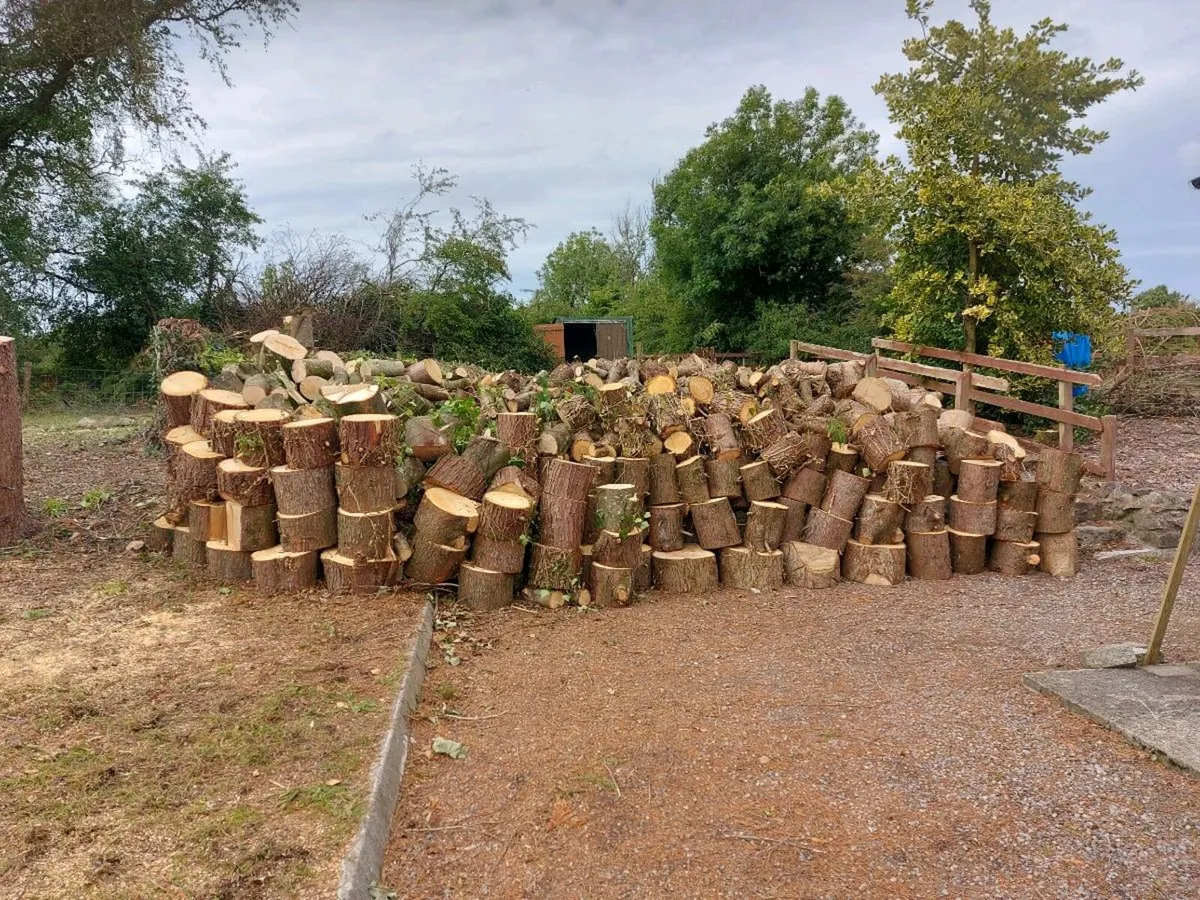 Timber for sale - Image 1
