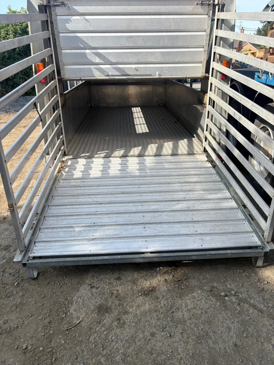 Ifor Williams 12ft cattle trailer - Image 4