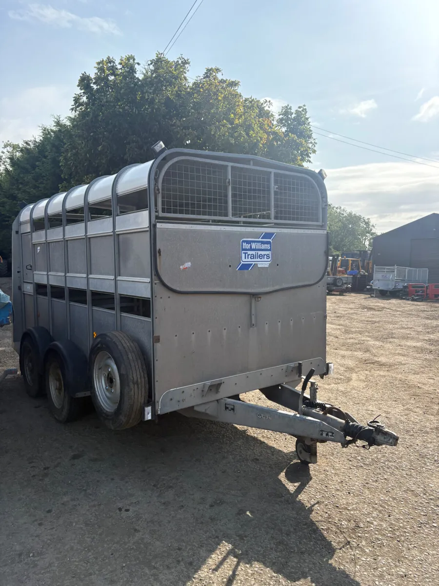 Ifor Williams 12ft cattle trailer - Image 1