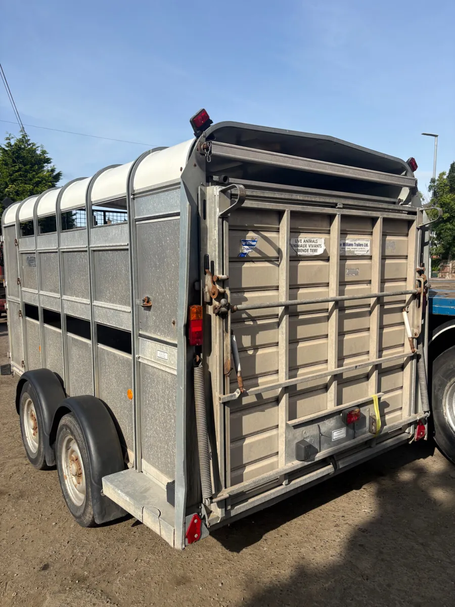 Ifor Williams 12ft cattle trailer - Image 2