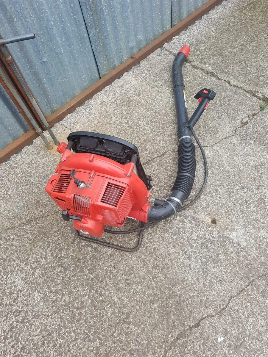 BLOWER CIFFARELY - FOR SALE - Image 1