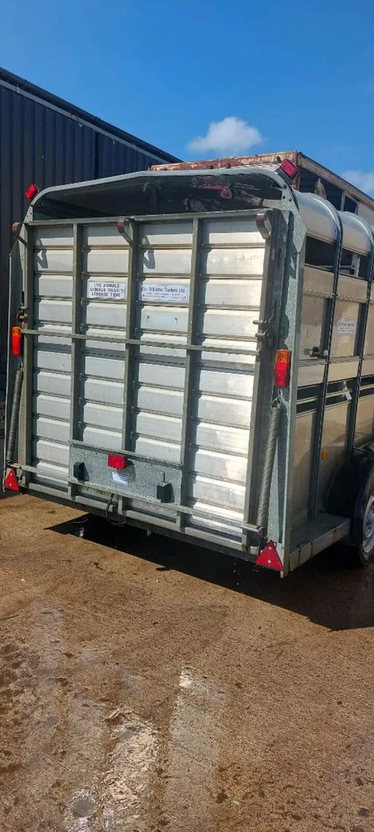 cattle trailer  14x6 tri axle - Image 3