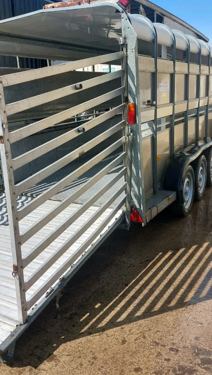 cattle trailer  14x6 tri axle - Image 2