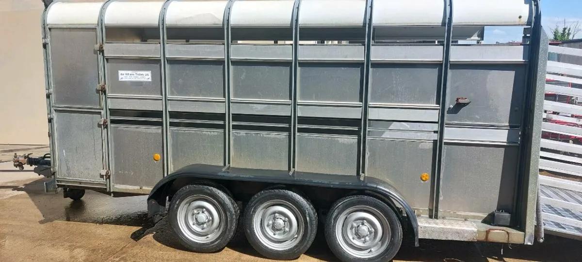 cattle trailer  14x6 tri axle - Image 1