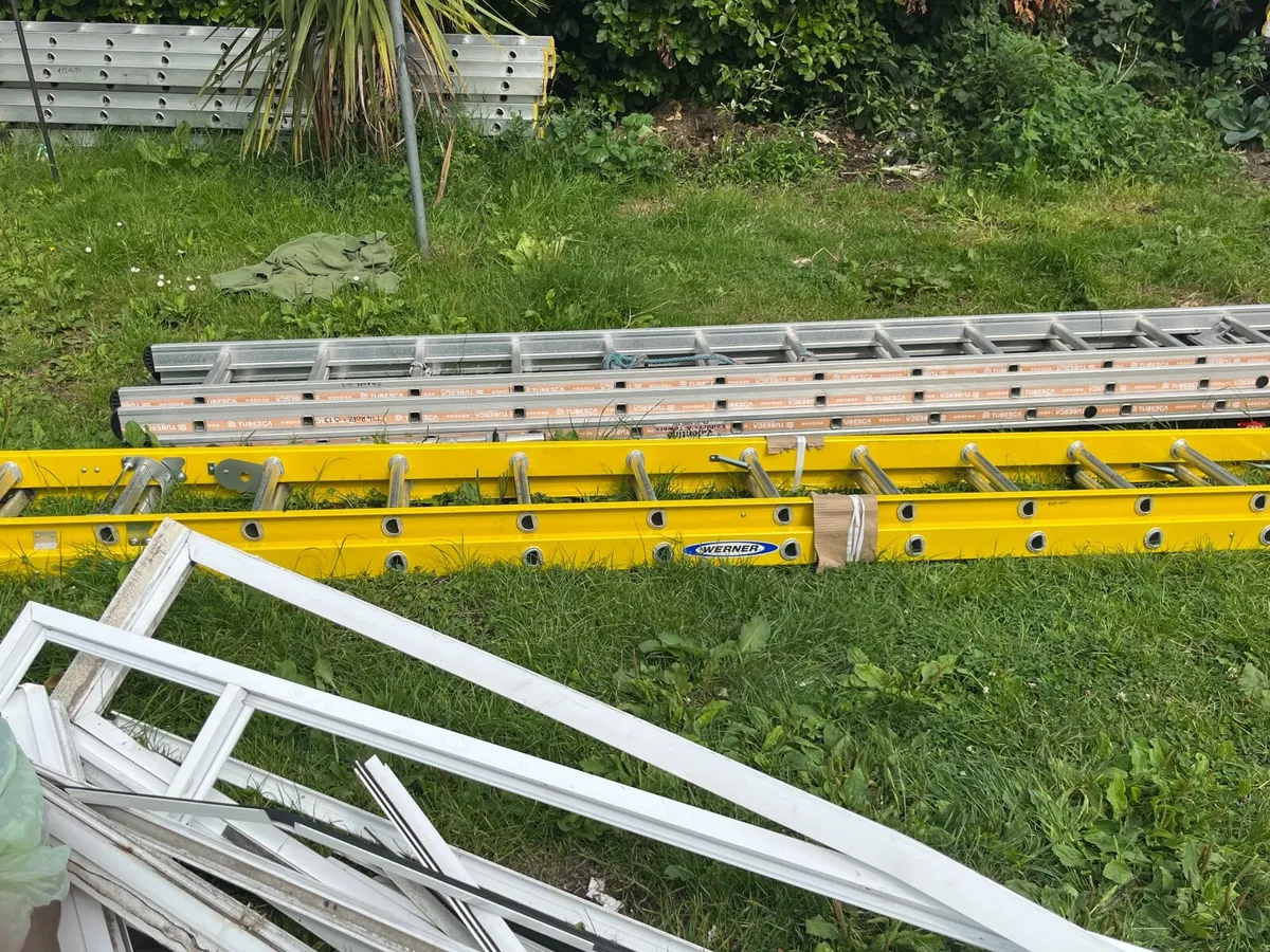 Ladder - Image 3