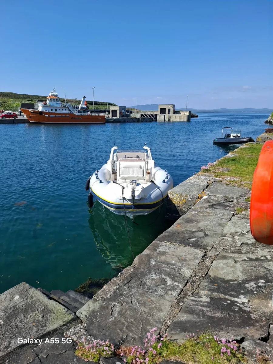 Marlin 25 8m Rib - Image 2
