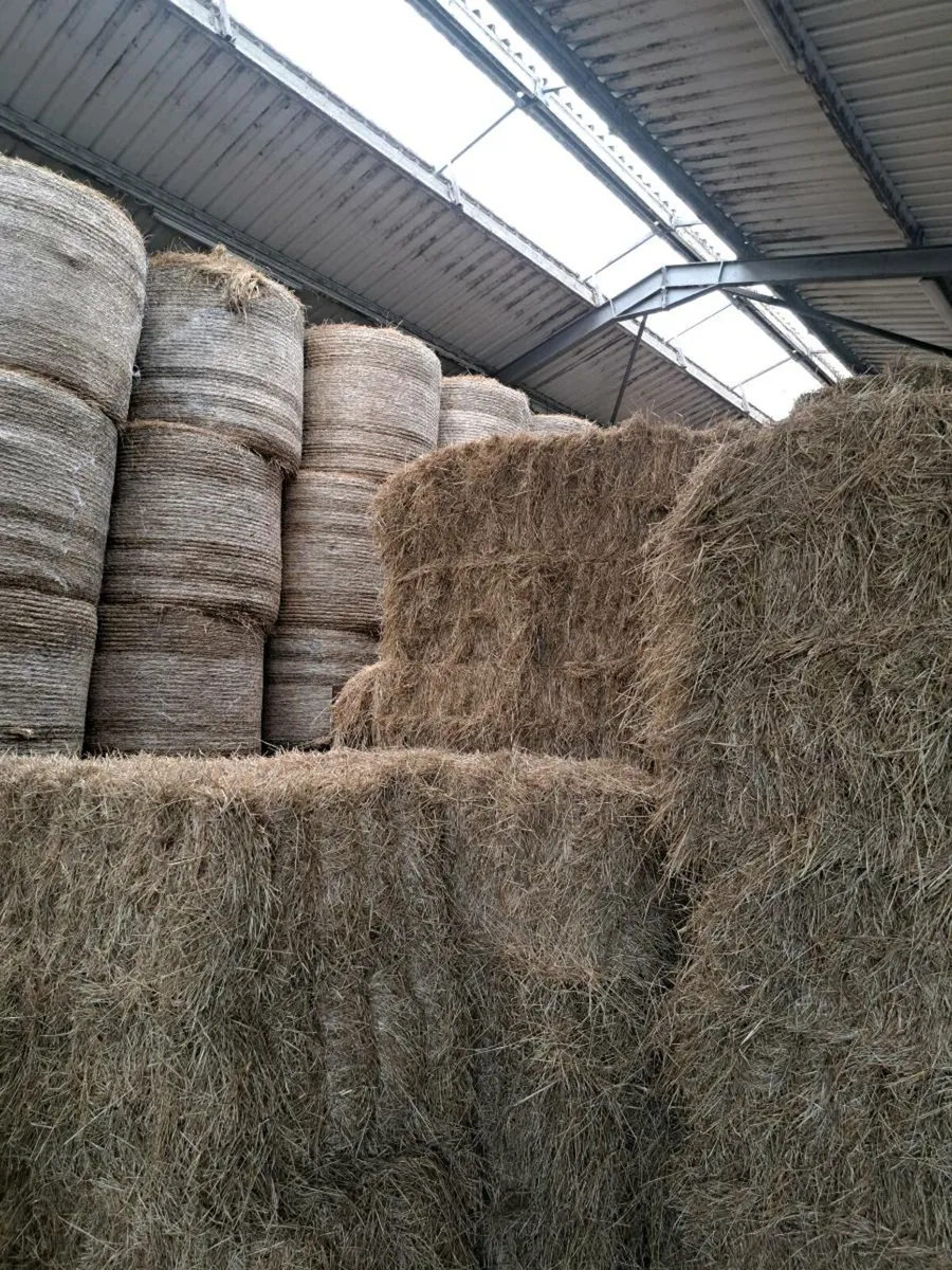 Horse Hay Coffin Bales - Image 1