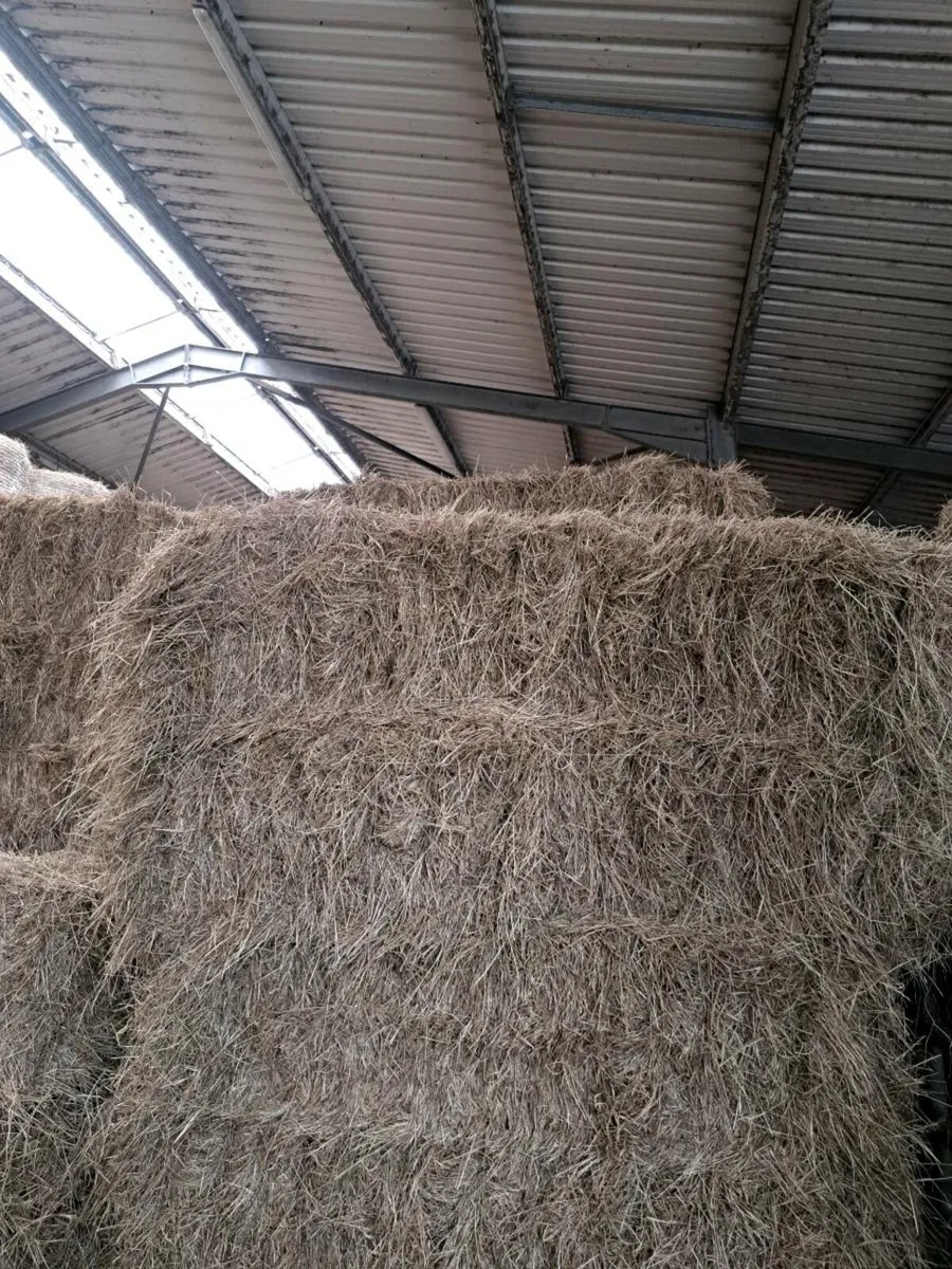 Horse Hay Coffin Bales - Image 2