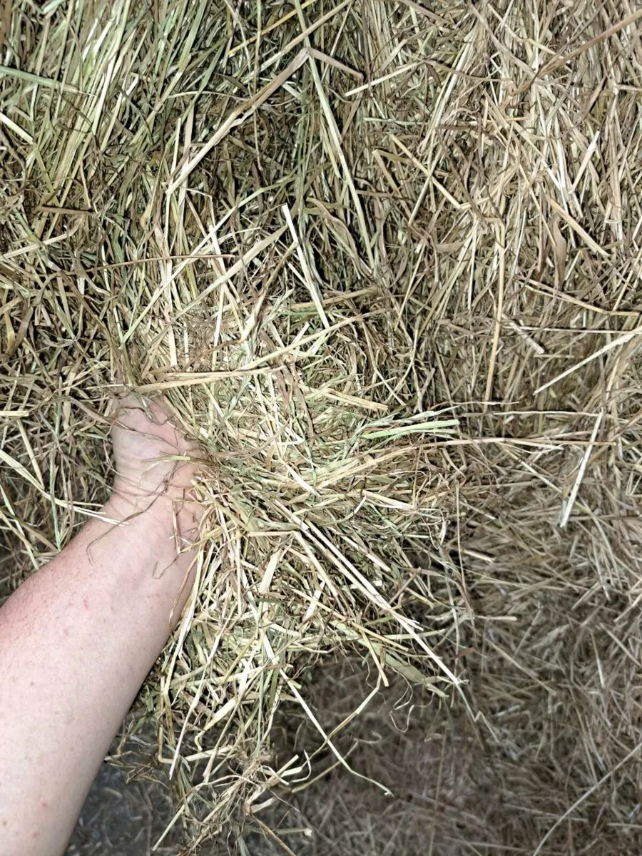Horse Hay Coffin Bales - Image 3