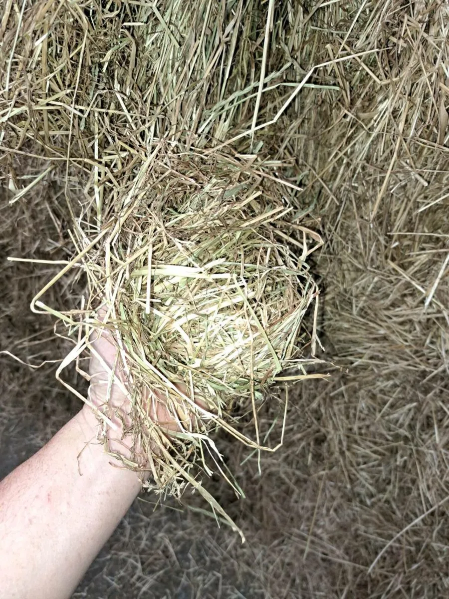 Horse Hay Coffin Bales - Image 4