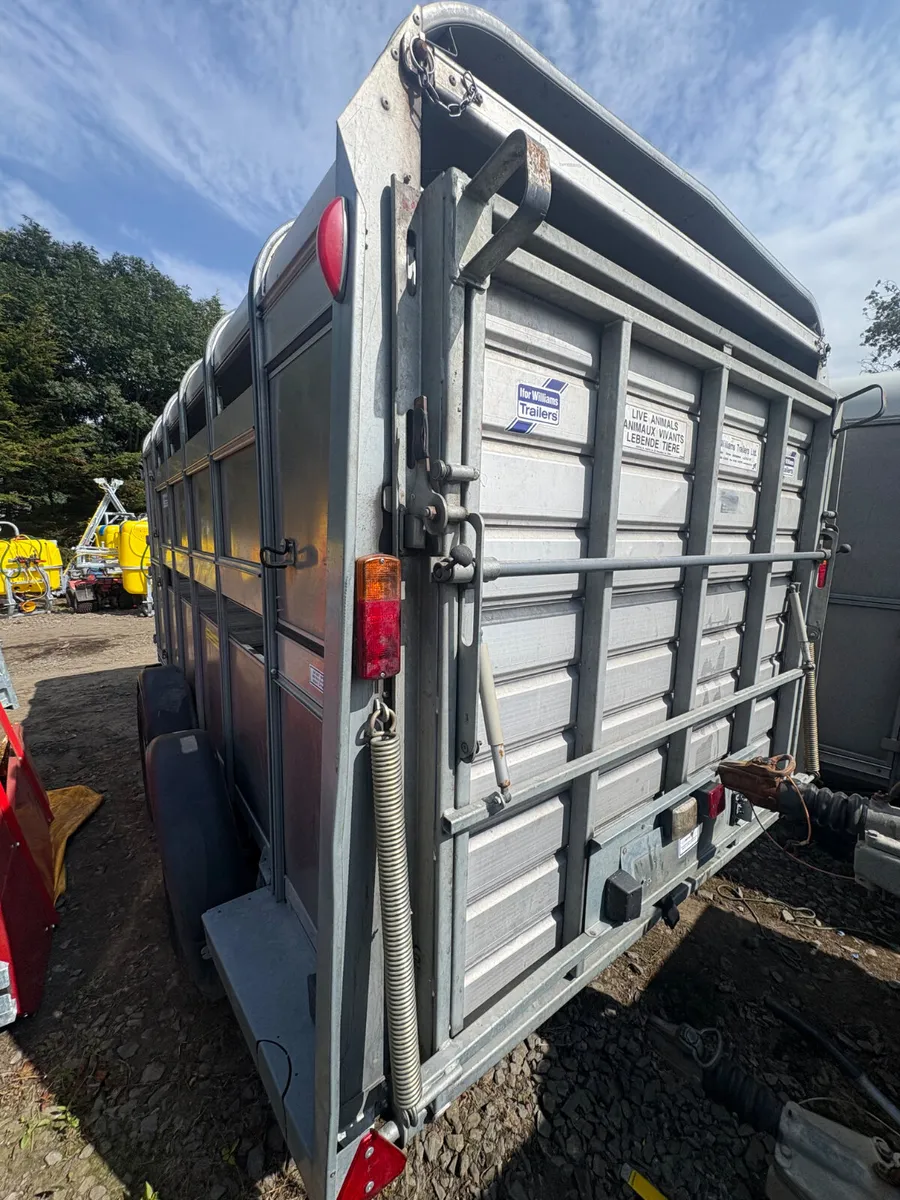 2019 Ifor Williams 12x6 cattle trailer - Image 2