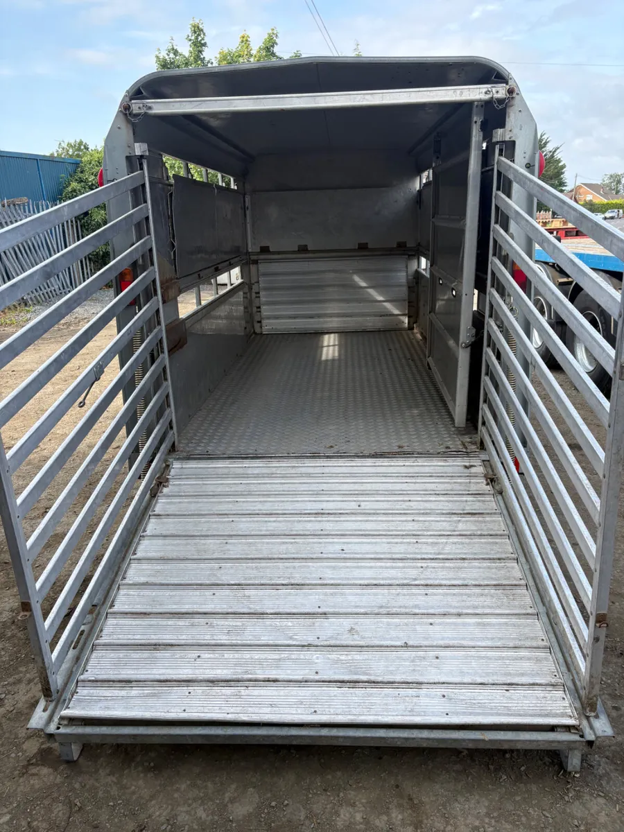 2019 Ifor Williams 12x6 cattle trailer - Image 3