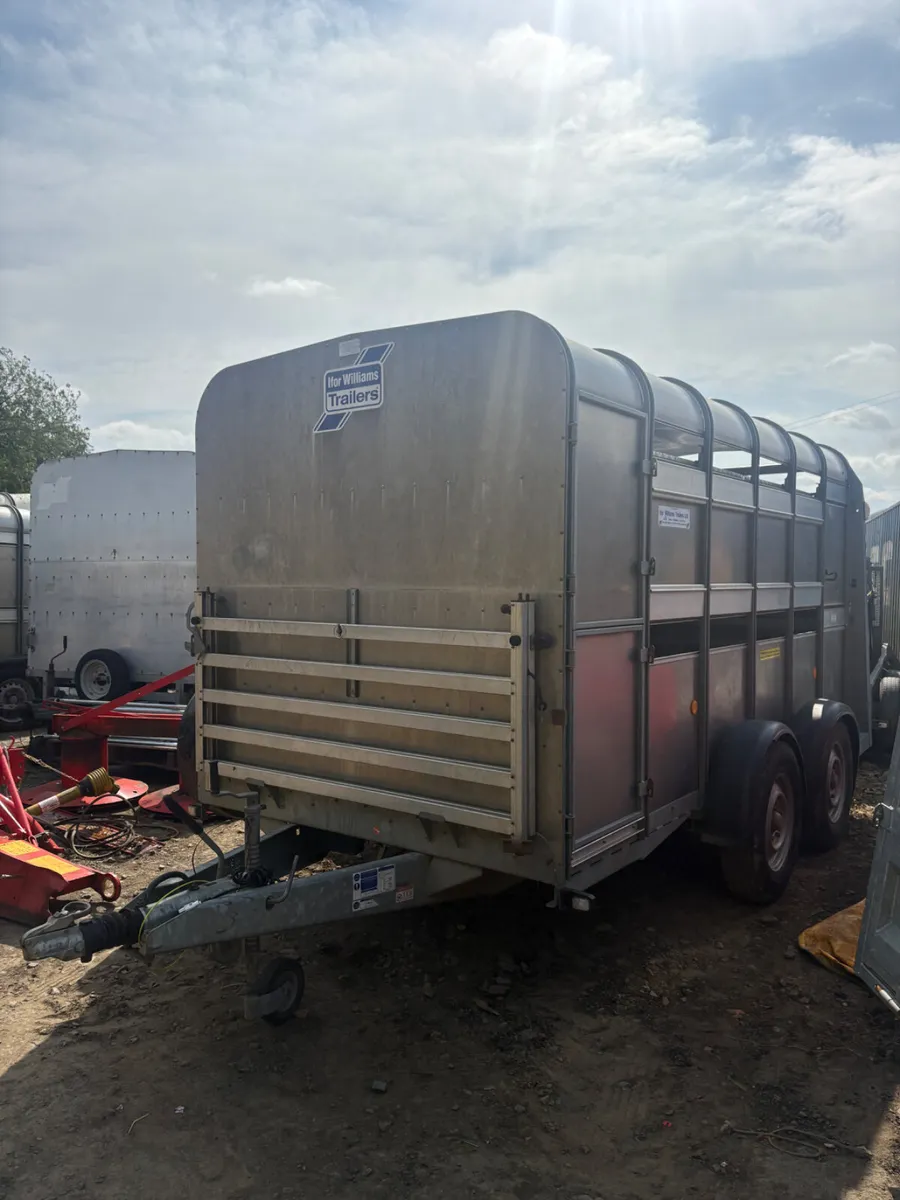 2019 Ifor Williams 12x6 cattle trailer - Image 1