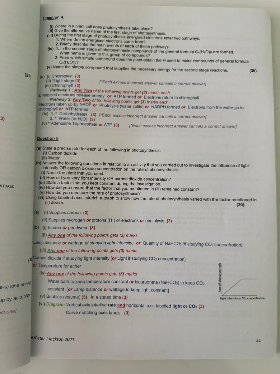 Books - Image 4