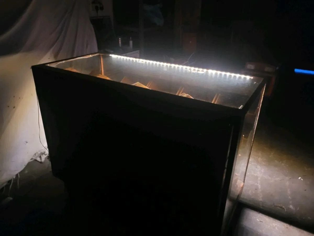 Vintage  display counter,GONE,pending colectio - Image 4