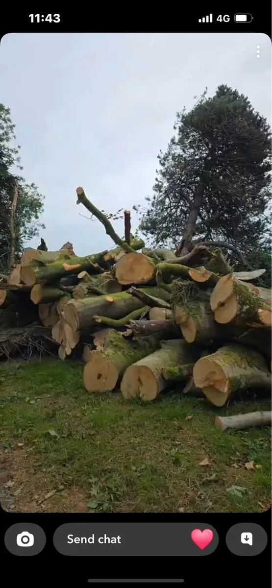 Hardwood lengths - Image 1