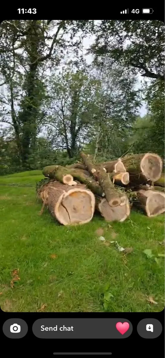 Hardwood lengths - Image 2