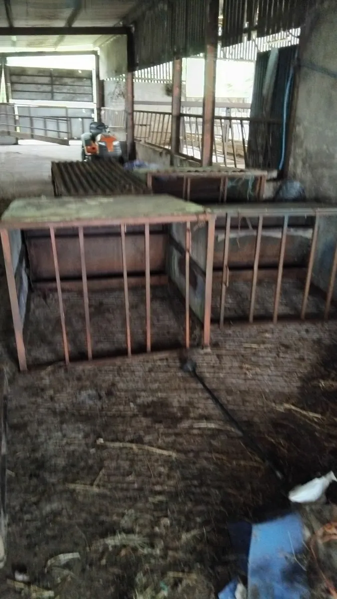 3 lamb creep feeders and 1 hay rack - Image 1