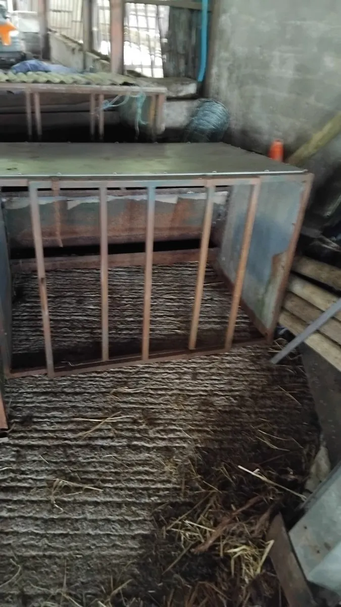 3 lamb creep feeders and 1 hay rack - Image 2