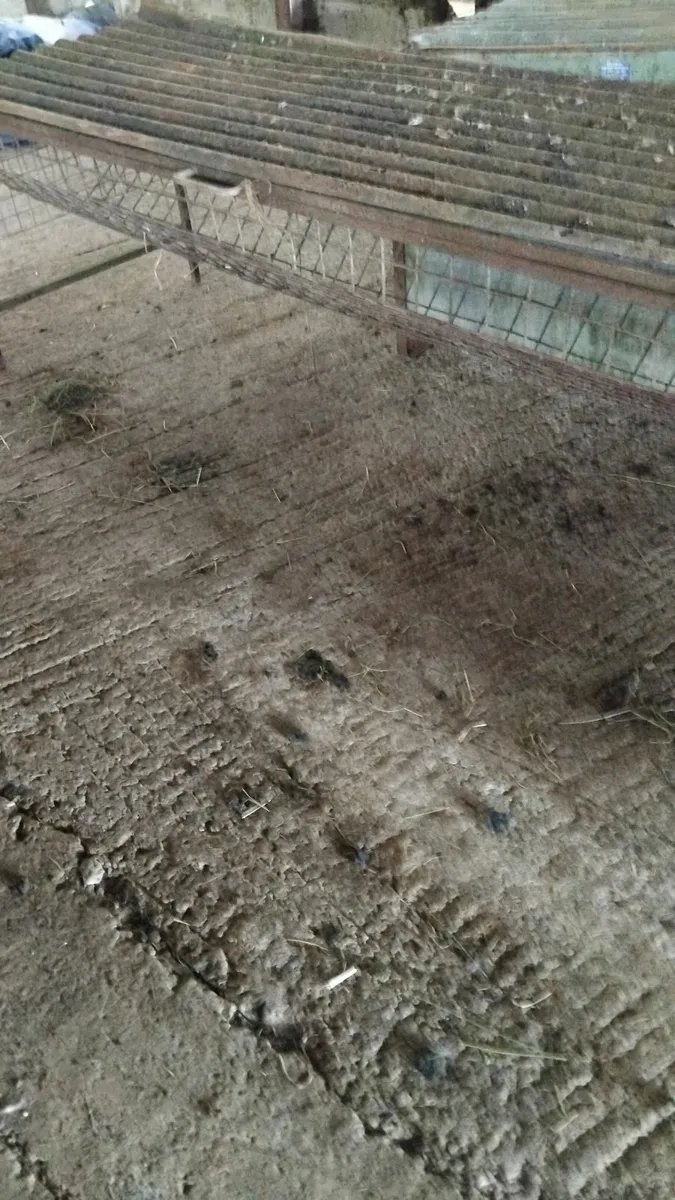 3 lamb creep feeders and 1 hay rack - Image 4
