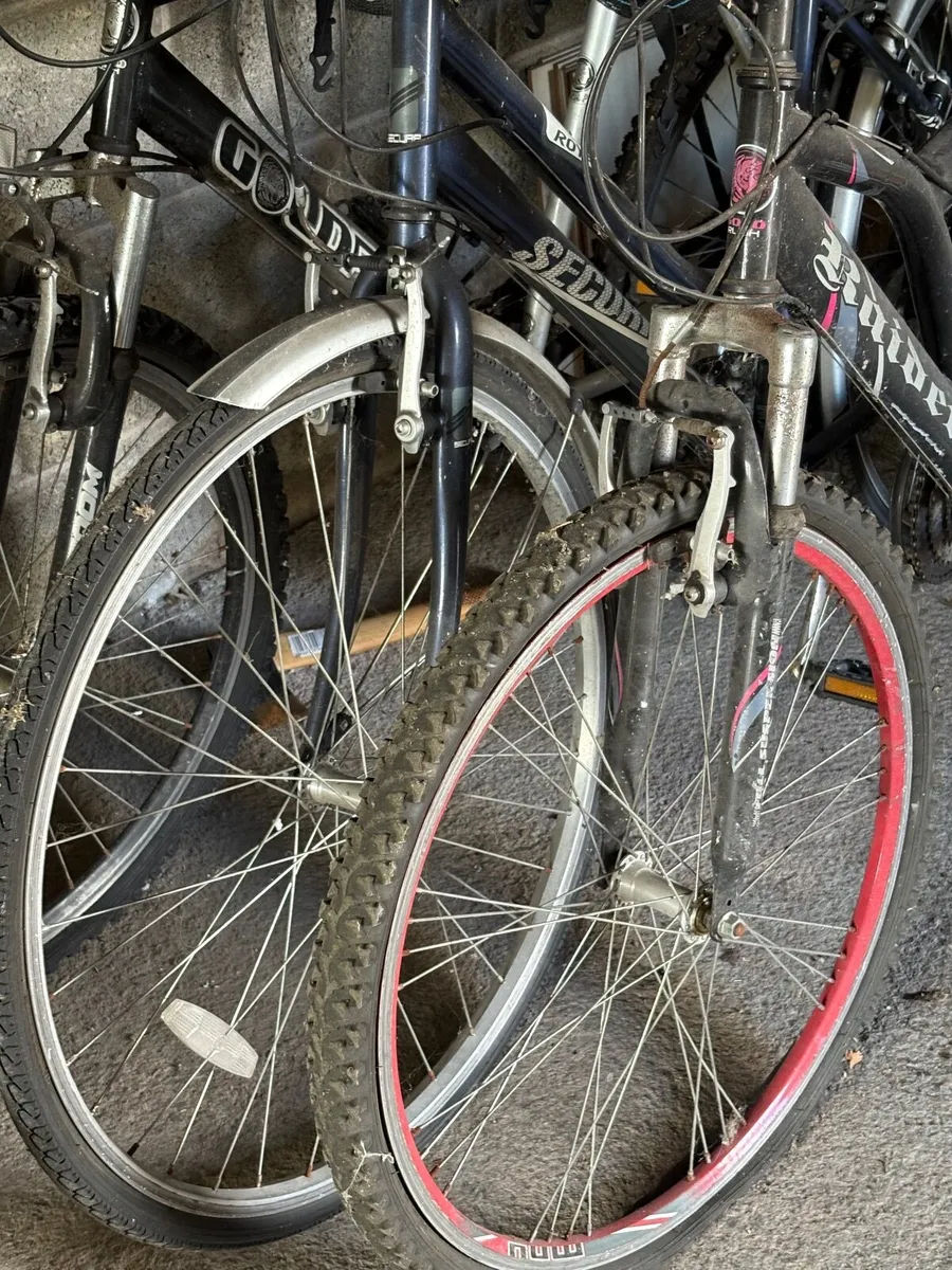 Bikes - Image 2