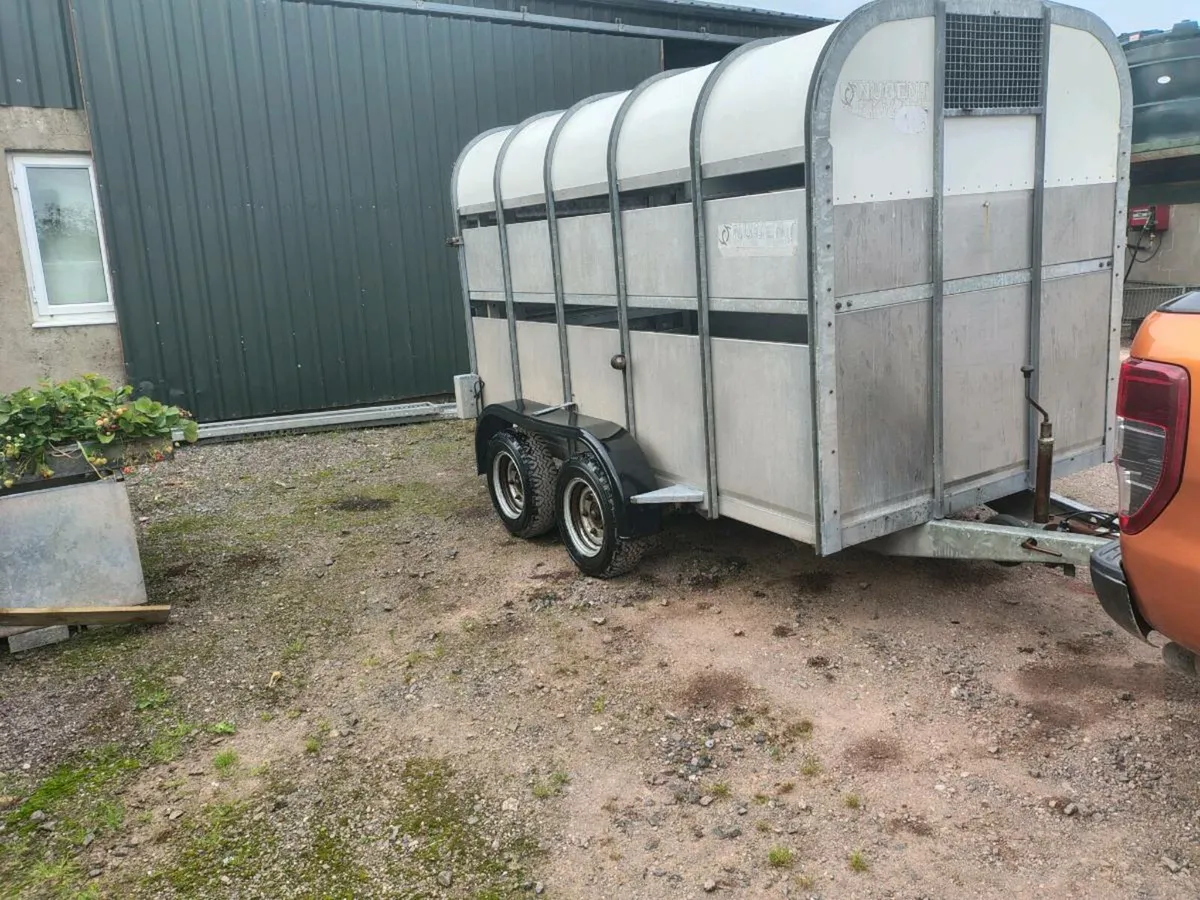 Nugent trailer - Image 1