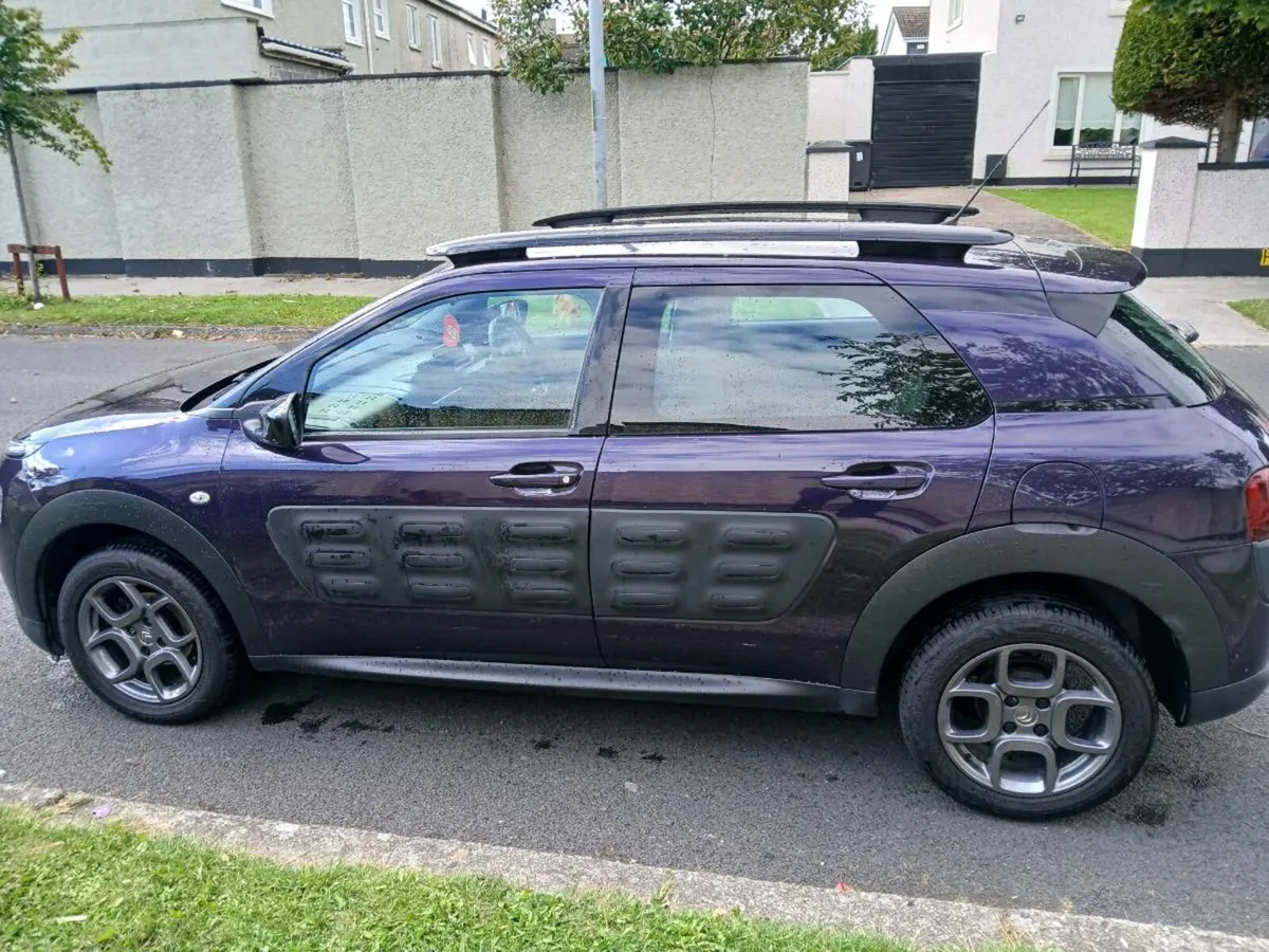 181 c4 cactus - Image 2