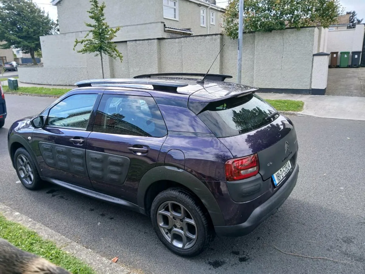 181 c4 cactus - Image 3
